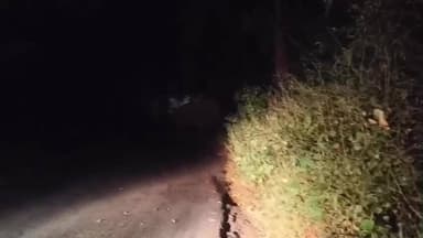 ಹೊಳಲ್ಕೆರೆ: ಚಾರ್ಮಾಡಿ ಘಾಟ್ ನಲ್ಲಿ ಹೊಳಲ್ಕೆರೆಯಿಂದ ಧರ್ಮಸ್ಥಳಕ್ಕೆ ಹೊರಟ ಪ್ರವಾಸಿಗರಿಗೆ ಅಡ್ಡ ಬಂದ ಕಾಡಾನೆ