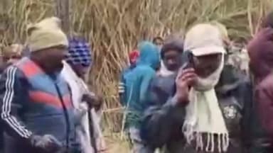 निचलौल: सोहगीबरवा में बाघ के हमले में 14 वर्षीय किशोरी की मौत, गांव में दहशत का माहौल