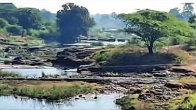 સાગબારા: ધોડમુગ-નાનીદેવરૂપણ ગામ વચ્ચે ત્રણ ચેકડેમ ની દયનીય હાલત.