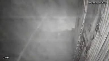 सिलाव: नालंदा: महाबोधि कॉलेज के पास दुकान में चोरी का प्रयास, घटना का वीडियो वायरल