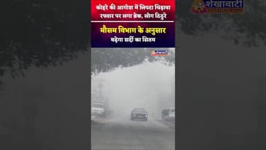 सर्दी का सितम, कोहरे की आगोश में लिपटा शहर #chirawa #jhunjhunu #viral #rajasthan