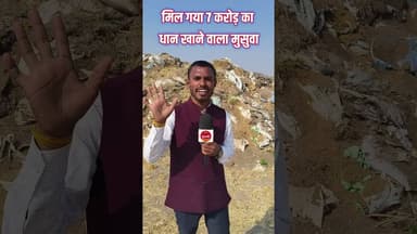 मिल गया 7 करोड़ धान खाने वाला चूहा?? #news #breakingnews #gurujitv #cgnews #चूहा #धान #kawardhanews