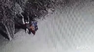 गंधवानी: निजी स्कूल में चोरी, ₹80 हजार और सॉफ्टवेयर डोंगल गायब, CCTV में कैद हुए 5 बदमाश, मामला दर्ज