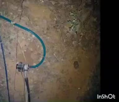 ଜି ଉଦୟଗିରି: ଜି ଉଦୟଗିରି ରୁ କଳିଙ୍ଗା ରାସ୍ତାର ରାଇପଦା ନିକଟ ଏକ ଫାର୍ମ ରେ ଏକ ବାଘ ବୁଲୁଥିବାର ଭିଡିଓ ସି ସି ଟିଭି କ୍ୟାମେରା ରେ ହେଲା କଏଦ