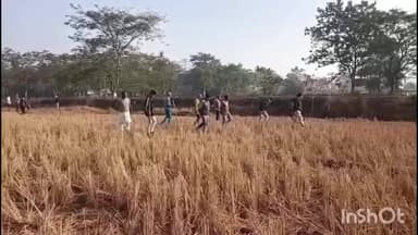 মৰাণ: তিলৈৰ দেওধাই গাঁৱত নাহৰফুটুকীৰ আক্ৰমণত দুজনকৈ যুৱক আহত, অঞ্চলটোত সৃষ্টি হৈছে আতংকৰ