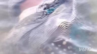 जैतपुर: जैतपुर थाना क्षेत्र के शाहपुर गांव में तालाब में डूबने से बुजुर्ग महिला की मौत