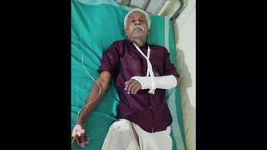 തൊടുപുഴ: ഉടുമ്പന്നൂരിൽ കാട്ട് പോത്തിൻ്റെ ആക്രമണത്തിൽ രണ്ട് കർഷകർക്ക് പരിക്ക്