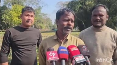 মৰাণ: তিলৈৰ দেওধাই গাঁৱত নাহৰফুটুকীৰ আক্ৰমণত লৈ কি ক'লে শুনক ভুক্তভোগী আৰু স্থানীয় ৰাইজে