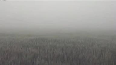 जावरा: मालवा क्षेत्र के रतलाम जिले में 8 दिनों से धुंध और शीतलहर का प्रकोप जारी, किसान चिंतित