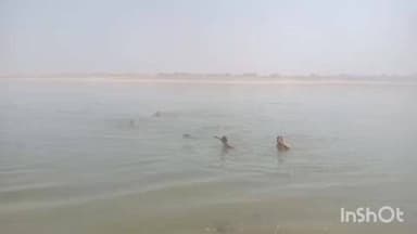 पैलानी: थाना पैलानी क्षेत्र में नशे में पिता ने अपने डेढ़ वर्षीय बच्चे की गला घोटकर हत्या की, शव को नदी में फेंका