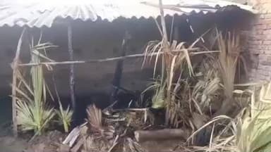 घोसी: परावन गांव में किसान की गौशाला में आग, एक बछड़े की जलकर मौत