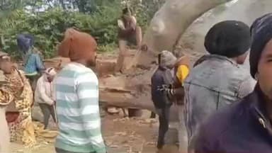 जरमुण्डी: रेड़ा पुल पर गिरा विशाल सिमर का पेड़, राहगीर बाल-बाल बचे, ग्रामीणों ने पूर्व कृषि मंत्री से पेड़ हटवाने की गुहार लगाई