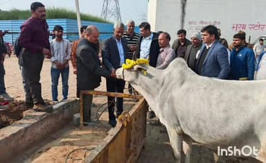 एत्मादपुर: एत्मादपुर धौरऊ बृहद गौशाला का निरीक्षण, विधायक, मंडलायुक्त व जिलाधिकारी ने व्यवस्थाओं का लिया जायजा