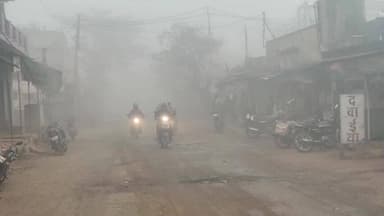 जावद: घने कोहरे से थमी रफ्तार, अलाव के सहारे सर्दी से जूझ रहा जनजीवन