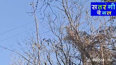 Live from Garsa - Manav Prinde Udte Huye - Paragliding Follow our Facebook Channel Satrangi Channel, Kullu Bhuntar Halch...