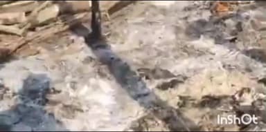 धामपुर: रेहड़ क्षेत्र के गांव छजमलवाला में झोपड़ी नुमा घर में आग लगने से करीब ₹30,000 का नुकसान हुआ