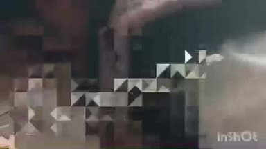 कैसरगंज: गजाधरपुर में पागल बंदर का आतंक, कई लोगों पर किया हमला और किया घायल