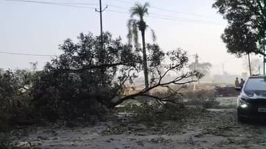 नजीबाबाद: कोटद्वार रोड पर अज्ञात ट्रक की टक्कर से आम का पेड़ टूटा, लगा लंबा जाम