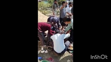 सरदारपुर: पशु चिकित्सा विभाग की त्वरित कार्रवाई और विशेषज्ञ सर्जरी से बची गाय की जान, सफल सिजेरियन ऑपरेशन किया गया