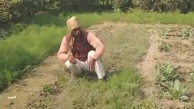 अमृतपुर: तुषारगांव में पूर्व प्रधानाध्यापक ने एग्री फार्म में अजवाइन जीरो की फसल तैयार की, पर्यटन मंत्री ने किया सम्मानित