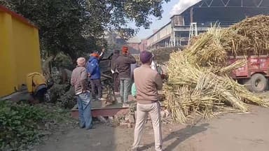 #किच्छा के चीनी मिल मे हुई बडी घटना,ट्रैक्टर चालक के ऊपर गिरा गन्ना से गंभीर रूप से घायल