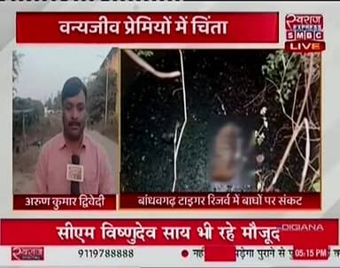 बांधवगढ़ टाइगर रिजर्व की खास खबर #स्वराजexpresssmbc #BandhavgarhTigerReserve