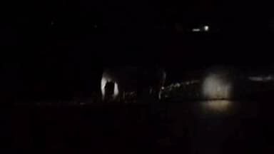 जैतहरी: सुबह-सुबह हाथियों का मूवमेंट, चोई क्षेत्र में बढ़ी निगरानी, वन अमला मुस्तैद