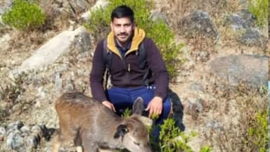 मकरीड़ी: द्रुब्बल में कुत्तों के झुंड से घिरे सांभर की जान बचाई गई, ग्रामीणों और वन विभाग की सजगता ने पेश की मानवता की मिसाल