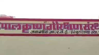 जळगाव जामोद: जळगाव जामोद शहरात 14 जानेवारी रोजी गौ- पुजनाचे आयोजन, गौरक्षणामध्ये विविध कार्यक्रमाचेही आयोजन