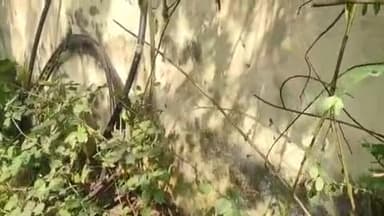 मांझी: दाउदपुर में बीएसएनएल टावर से केबल काटने का प्रयास, नेटवर्क बाधित