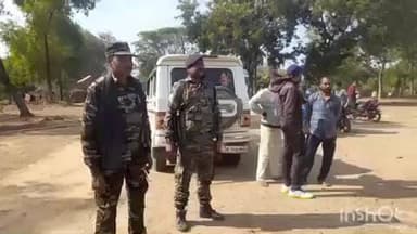 नाला: नाला नेताजी स्टेडियम में राष्ट्रीय सड़क सुरक्षा माह के तहत सड़क सुरक्षा क्रिकेट टूर्नामेंट का आयोजन