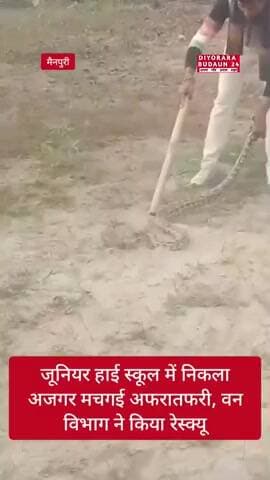जूनियर हाई स्कूल में निकला अजगर... मचगई अफरातफरी, वन विभाग ने किया रेस्क्यू || #update #latestnews #viral