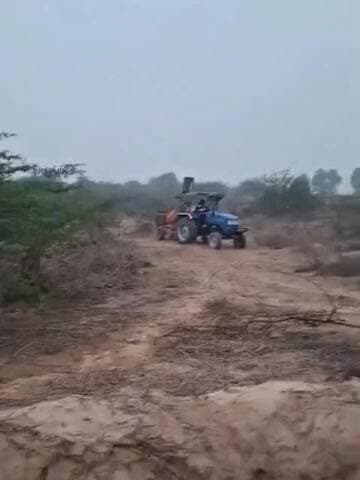 अनूपगढ़: अनूपगढ़ के गांव 2UDM में पेड़ों की अवैध कटाई की गई, वन विभाग ने की कार्रवाई