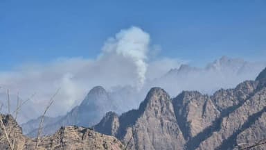 जोशीमठ: धधकी फूलों की घाटी में दूसरे दिन भी बेकाबू रही आग, वन संपदा और वन्यजीवों पर गहराया संकट