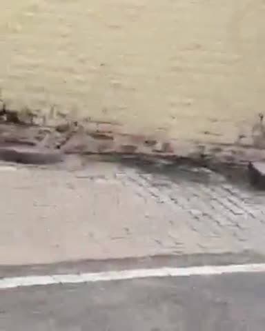 जायल: रोल पुलिस थाने में परस्पर मारपीट के आरोप में मामला दर्ज हुआ