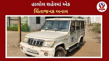 #panchmahal | હાલોલ શહેરમાં એક ચિંતાજનક બનાવ | Divyang News |