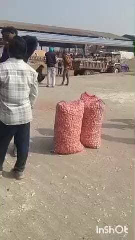 छीपाबड़ोद: छीपाबड़ौद में 1049 क्विंटल लहुसन की आवक हुई दर्ज