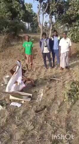 नाला: तूष्कूटी में श्रद्धा और विधि-विधान के साथ हुई गट पूजा, सोहराय पर्व का हुआ शुभारंभ