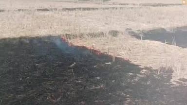 నర్సాపూర్: వరి కొయ్యలను తగలబెడుతున్న రైతులు