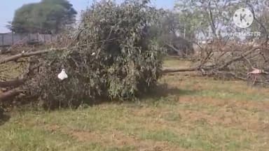 મહેમદાવાદ: ખેડા જિલ્લાના મિરઝાપુરમાં ભૂમાફિયાની દાદાગીરી