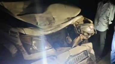 राळेगाव: चार चाकी वाहनाच्या धडकेत रोही जागीच ठार खडकी गावाजवळील घटना