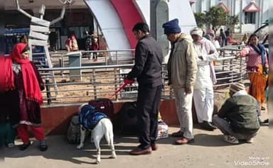 मधुपुर: 26 जनवरी को लेकर मधुपुर स्टेशन पर आरपीएफ का सघन सुरक्षा अभियान, डॉग स्क्वायड से जांच