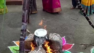 திண்டுக்கல் கிழக்கு: பேருந்து நிலையம் அருகே சங்க கட்டிடத்தில் சமத்துவ பொங்கல் கொண்டாடிய ஊராட்சி ஒன்றிய அலுவலர்கள்