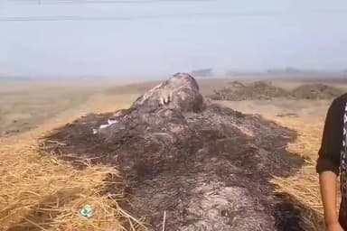 बेलदौर: उदहा चौर में असामाजिक तत्वों ने खेतों में रखे सूखे चारे के ढेर में लगाई आग, बेलदौर थाने में शिकायत