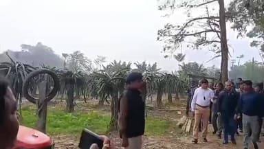 जलालगढ़: कृषि विभाग के प्रधान सचिव ने दनसार और हांसी गांव के किसानों के खेत में लगी फसलों का किया निरीक्षण