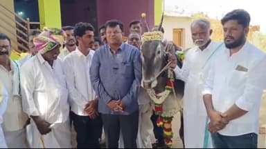 ಶಿರಾ: ಹಳ್ಳಿಕಾರ್ ತಳಿಯನ್ನು ಉಳಿಸಲು ಹಳ್ಳಿಕಾರ್ ತಳಿಯನ್ನ ಉಳಿಸಲು ಪಟ್ಟನಾಯಕನಹಳ್ಳಿಯಲ್ಲಿ ಮಾಜಿ ಶಾಸಕ ರಾಜೇಶ್ ಗೌಡ