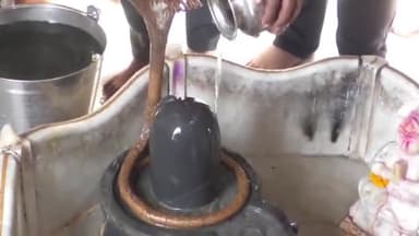 रायगढ़: सोमनाथ मंदिर के 1 हजार साल पूरे होने पर विशेष पूजा, शहर के गौरीशंकर मंदिर में किया गया विशेष पूजा अनुष्ठान