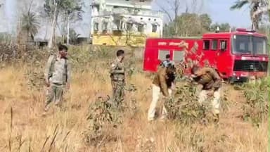 चाकुलिया: पेट्रोल पंप के पास झाड़ियों में लगी भीषण आग, दमकल और ग्रामीणों की तत्परता से टला बड़ा हादसा