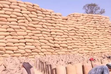 प्रेमनगर: सूरजपुर में 2.34 लाख क्विंटल से अधिक धान की खरीदी, अवैध धान पर प्रशासन की सख्ती के लिए 24 घंटे निगरानी