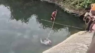 సిద్దిపేట అర్బన్: చిన్నకోడూరు మండలం కస్తూరి పల్లి గ్రామ శివారులోని చెక్ డ్యామ్ లో ప్రమాదవశాత్తు నీట మునిగి తల్లి ఇద్దరు కొడుకులు మృతి